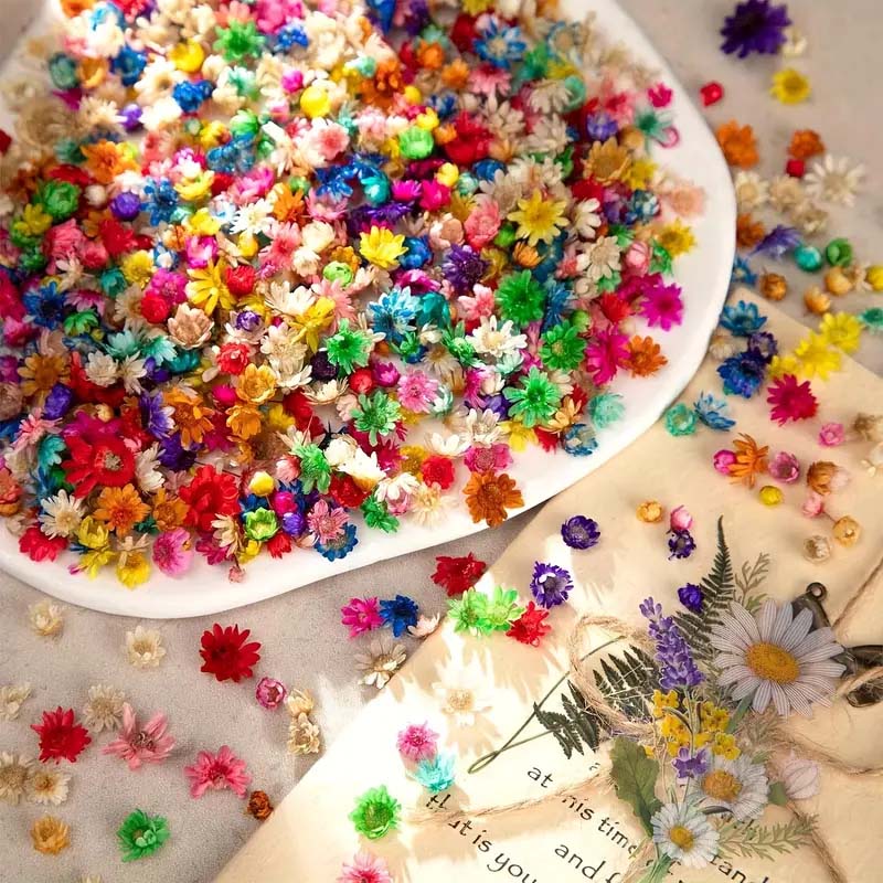 Fleur colorée mixte pour moula - Soy Wax Pillar Blend avis et prix